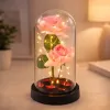 LEAN Eternal Roses in Dome with LED Lighting and Rose Petals Pink 21x11cm