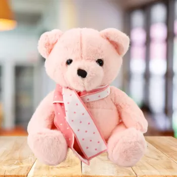 LEAN TOYS Plush Mascot Cuddly Toy Teddy Bear With Scarf Pink 35cm
