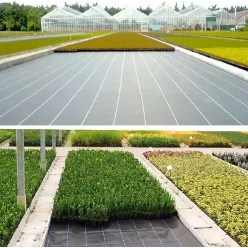 LEAN Black Agrotextile 160cm x 50m UV 90g Anti-weed Agrotextile + Anchors