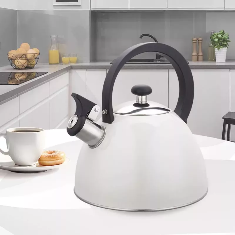 MEO Maestro Nešildomas virdulys 2,5 L MR-1302-WG Nerūdijantis plienas