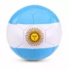 LEAN TOYS Treniruočių futbolo kamuolys žolės aikštei, Argentinos spalvos, 22 cm, 5 dydis
