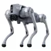 Unitree Go2 Air Quadruped Robot Dog su nuotolinio valdymo pulteliu
