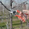 FELCO 2 Classic Bypass Pruning Shears - 25mm pjovimo talpa, ergonomiškas dizainas