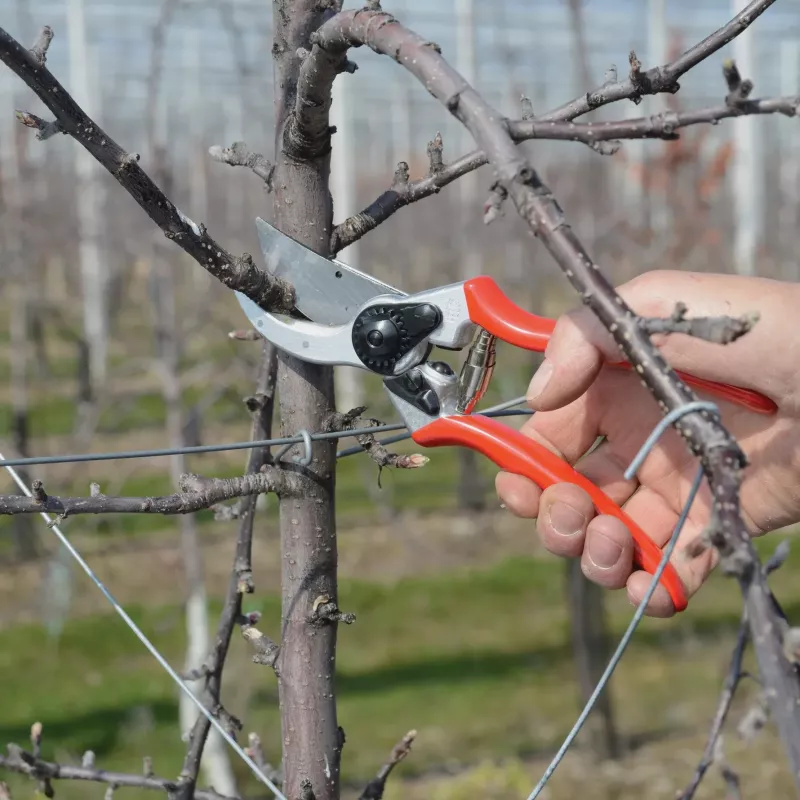 FELCO 2 Classic Bypass Pruning Shears - 25mm pjovimo talpa, ergonomiškas dizainas