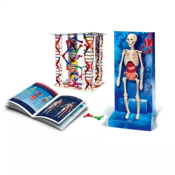Clementoni Science Fun Human Body (lenkų k.) 60249