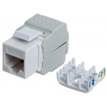 Intellinet 167062 Cat6 UTP Keystone lizdas, be įrankių, baltas