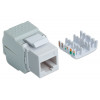 Intellinet 167062 Cat6 UTP Keystone lizdas, be įrankių, baltas
