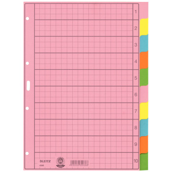 LEITZ A4 10 dalių tušti registro skirtukai, įvairiaspalviai, 130 gsm, sustiprintos skylės 4340-00-00