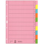 LEITZ A4 10 dalių tušti registro skirtukai, įvairiaspalviai, 130 gsm, sustiprintos skylės 4340-00-00