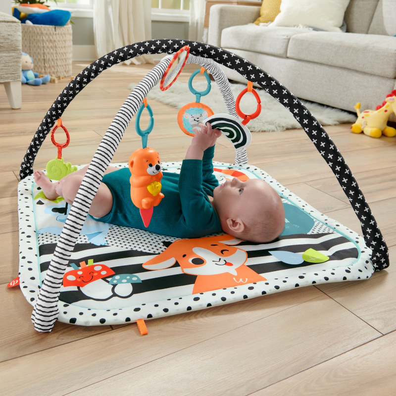 Mattel kūdikių aktyvumo centras su žaidimų arka, šviesomis ir muzika, kilimėlis/arka (HBP41)