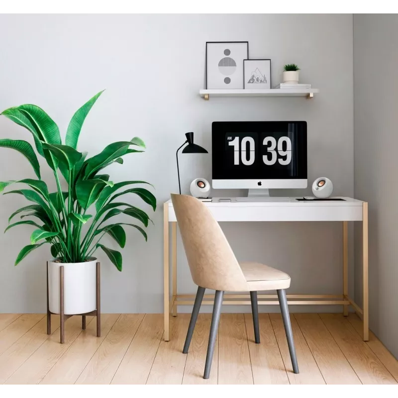 Creative Labs Pebble V3 White laidiniai ir belaidžiai garsiakalbiai 10 W