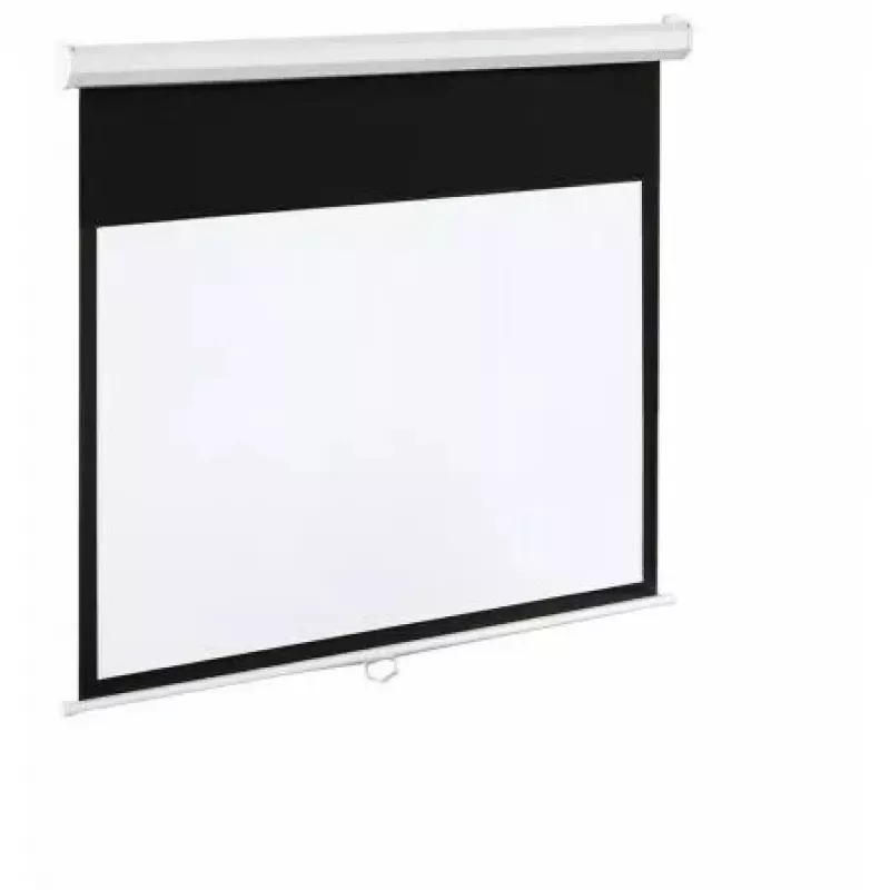 Elektrinis ekranas 100 inch 16:9 120° matinis baltas su nuotolinio valdymo pulteliu