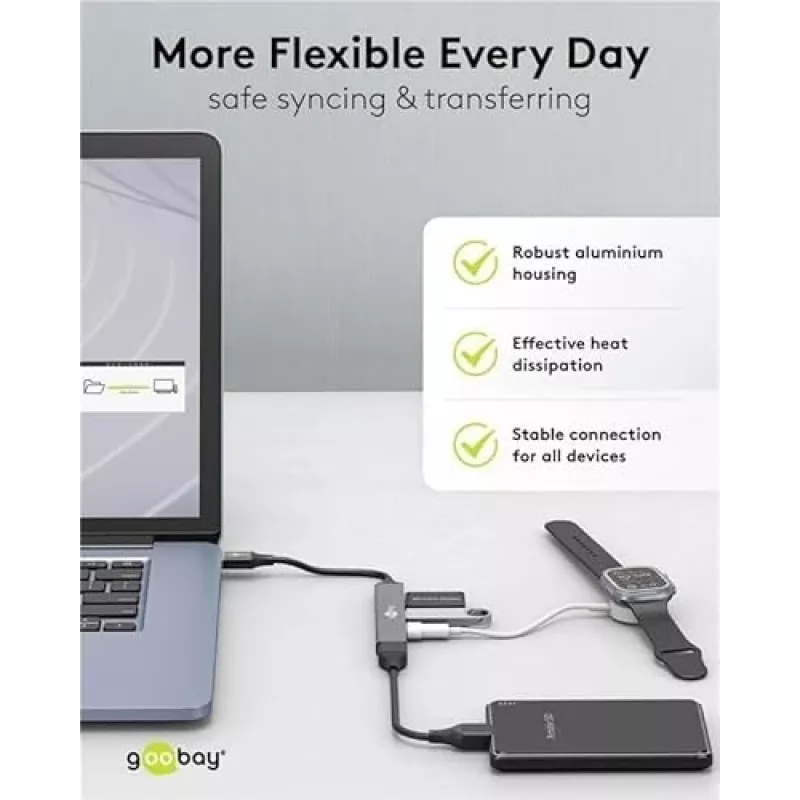 Goobay USB Hub 74456 USB-A 4 prievadai 5000 Mbit/s Šviesiai pilka