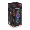 Nešiojamas garsiakalbis Media-tech MT3181 Black