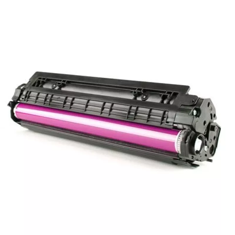 Ricoh 842313 originalus tonerio kasetė, 1 vnt., rausvai raudona (magenta)