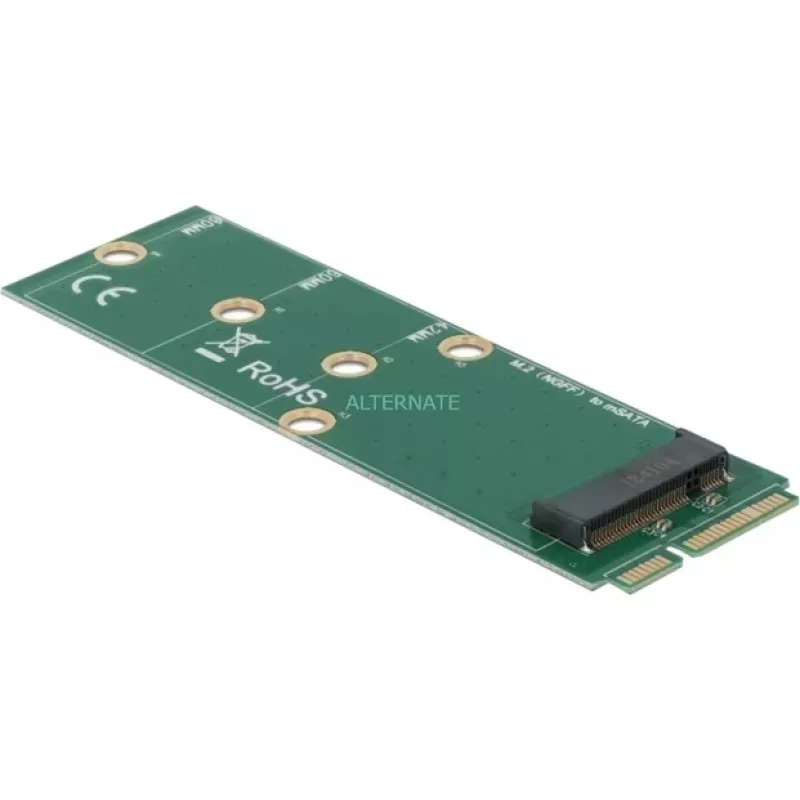 DeLOCK 64109 M.2 į mSATA sąsajos adapteris