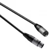 Laidas XLR patinas-XLR patelė 1,5 m PROCAB