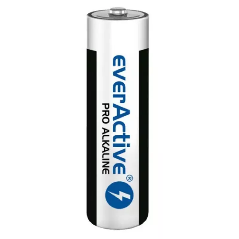 Vienkartinė šarminė baterija everActive LR0310PAK AAA 1.5V 1250mAh pakuotė po 10 vnt.
