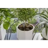 Laistymo sistema GARDENA 13366-20 žarna 30 m juoda