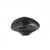 Natec Genesis Blackbird 2 belaidė optinė pelė RF 1600 DPI
