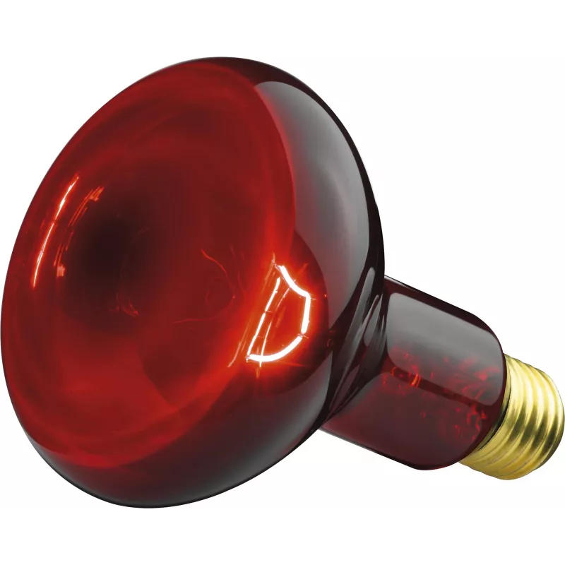 Beurer IL 11 infraraudonųjų spindulių lempa 100 W