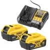 Baterijų ir įkroviklio rinkinys DeWALT DCB1104P2 18 V 5.0 Ah (2 baterijos, įkroviklis)