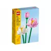 LEGO 40647 Lotosų gėlės — Botaninė kolekcija, modulinis modelis, 220 detalių, aukštis 300 mm, nuo 8 metų