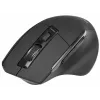 Pelė Tracer Cozy dešinei rankai RF belaidė optinė 1600 DPI