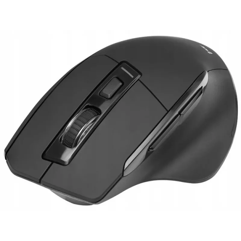 Pelė Tracer Cozy dešinei rankai RF belaidė optinė 1600 DPI