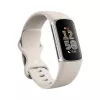 Fitbit GA05185-EU Sidabrinė