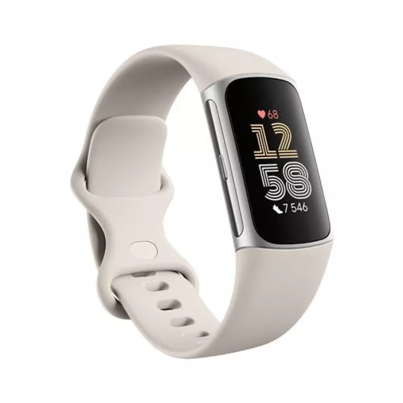 Fitbit GA05185-EU Sidabrinė