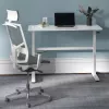 Stalas su rankiniu aukščio reguliavimu Ergo Office ER-401 W, maks. 40 kg, maks. aukštis 117 cm, su stalviršiu darbui stovint ir sėdint