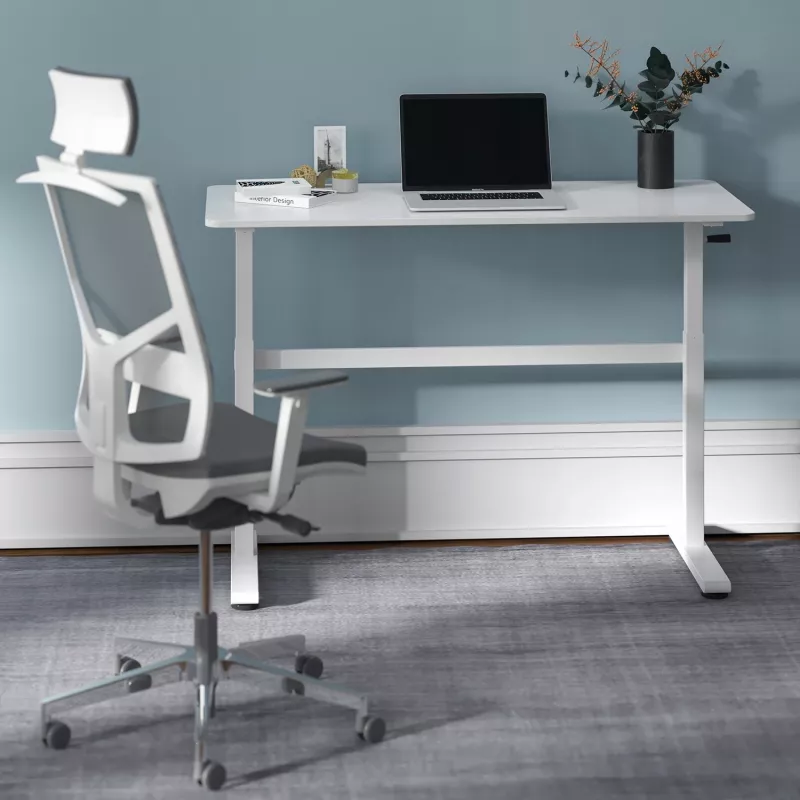 Stalas su rankiniu aukščio reguliavimu Ergo Office ER-401 W, maks. 40 kg, maks. aukštis 117 cm, su stalviršiu darbui stovint ir sėdint