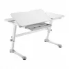 Ergo Office ER-417 2cz ergonominis vaikiškas stalas su aukščio reguliavimu, pilkas, max 100 kg