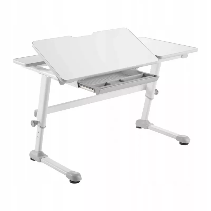 Ergo Office ER-417 2cz ergonominis vaikiškas stalas su aukščio reguliavimu, pilkas, max 100 kg