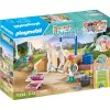 Playmobil Horses of Waterfall – Plovimo stotelė su Isabella ir liūte