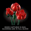 LEGO Icons Bouquet of Roses Gėlių puokštė suaugusiems