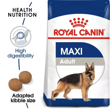Royal Canin SHN Maxi Adult sausas maistas šunims, 4 kg