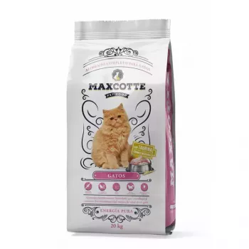 MAXCOTTE Gatos sausas kačių ėdalas 20 kg