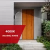 MACLEAN MCE511 B 20W LED prožektorius IP65, šalta balta šviesa 6500K, 1800lm