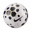 Nike Control 25 5 dydžio futbolo kamuolys baltas/juodas HV4395 100