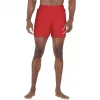 Nike Essential 5 vyriški plaukimo šortai raudoni NESSF560 614 dydis M