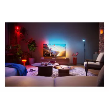 Philips 43PUS8001 43 colių 4K QLED Ambilight išmanusis televizorius