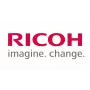 Ricoh D0BQ2773 (D0BQ-2773) traukimo volelio skriemulys su mechanine mova