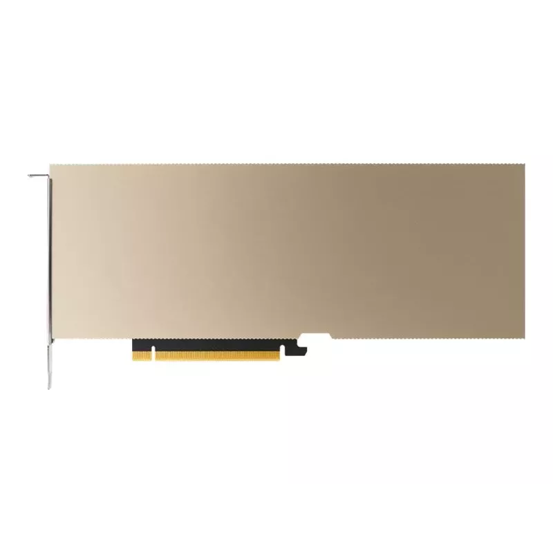 NVIDIA A10 24 GB PCIe 4.0 vaizdo plokštė