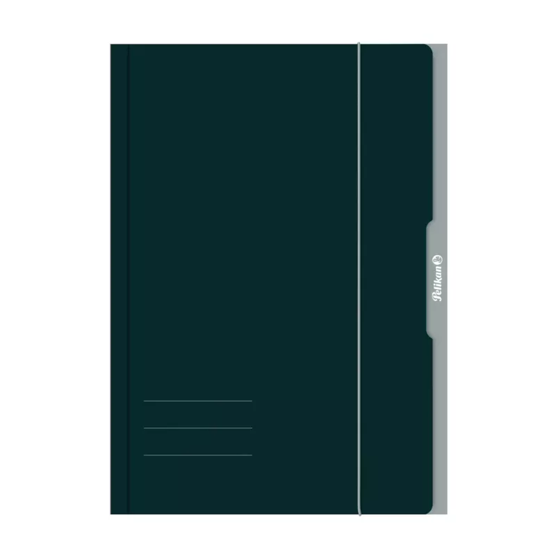 Pelikan 276856 Aplankalas cirkuliacinis A3 kartoninis žalias