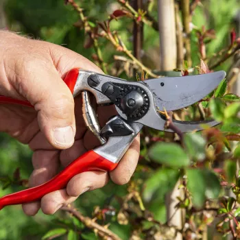 FELCO 9 Kairiarankės apėjimo genėjimo žirklės – Kaltas aliuminis