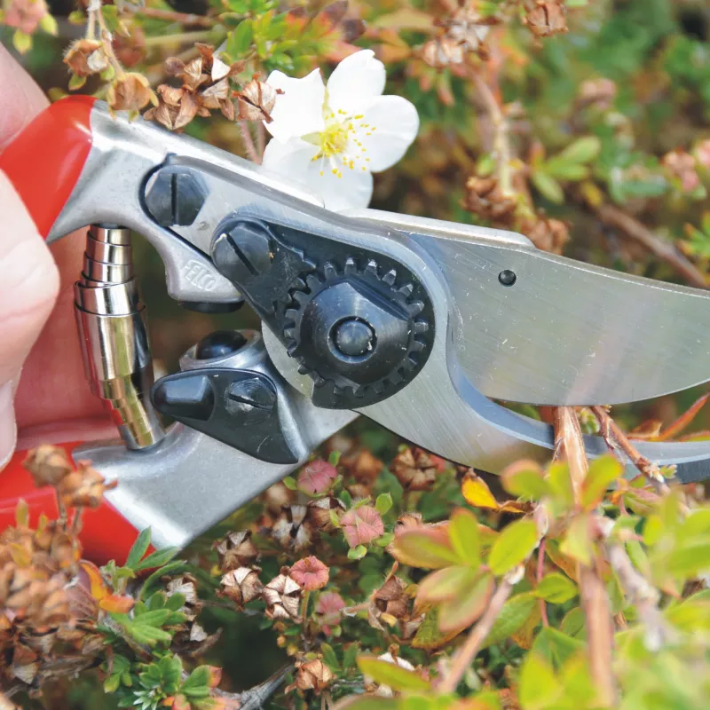 FELCO 9 Kairiarankės apėjimo genėjimo žirklės – Kaltas aliuminis