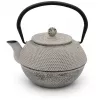 Bredemeijer Teapot Jang 1.1L Cast Iron Grey with Filter