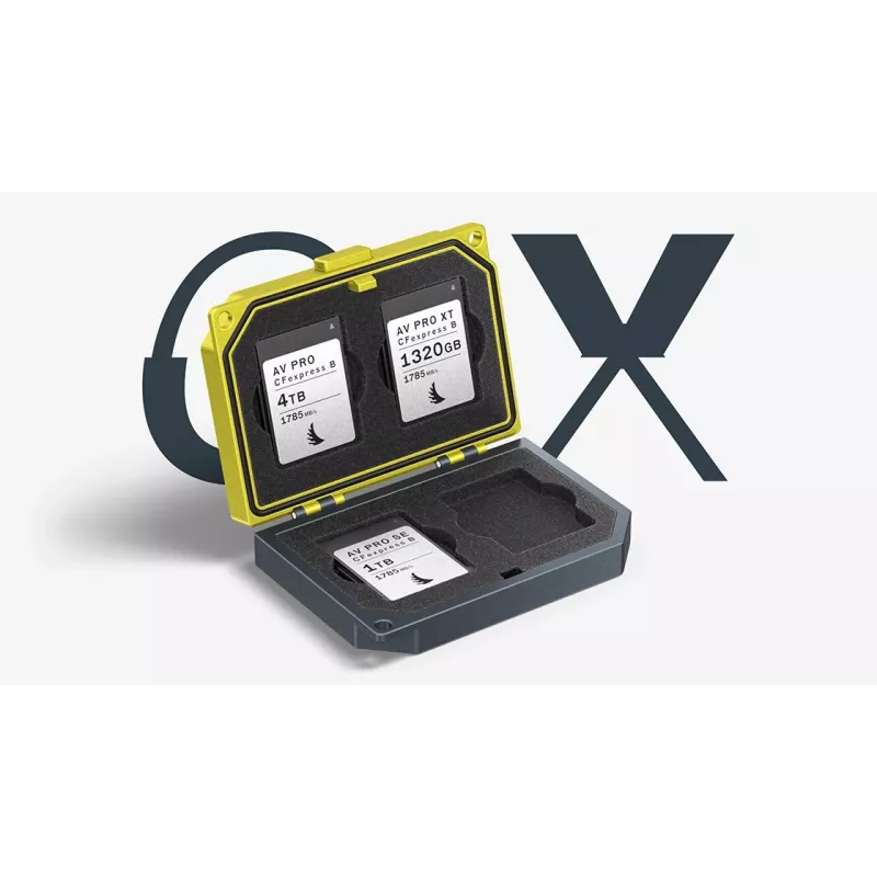 Angelbird MEDIA TANK CFexpress Type B Card Case (MEDIA-TANK-CB2)